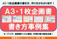 Ａ３・１枚企画書書き方事例集 １枚企画書書き方・作り方